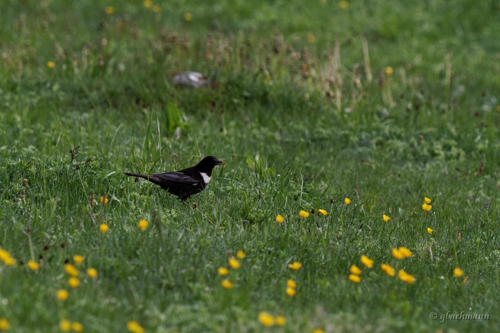 20120624_270